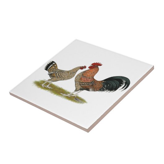 Tournaisis Zwerghühner Fliese (Seite)