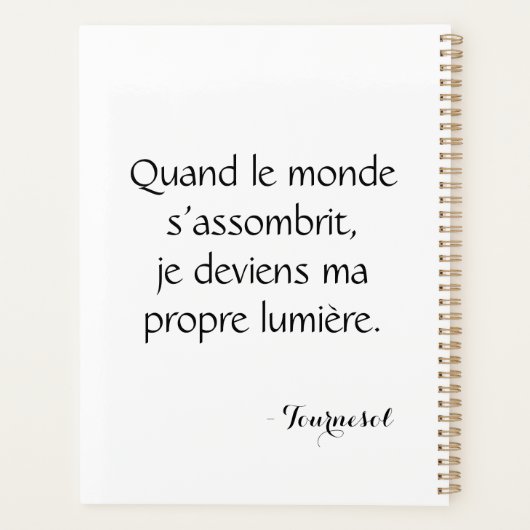 Tournesol lumineux pixelisé planer (Rückseite)