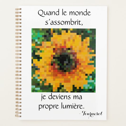 Tournesol pixelisé lumineux planer (Vorderseite)