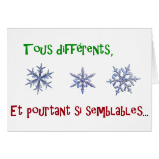 tous différents und pourtant si semblables