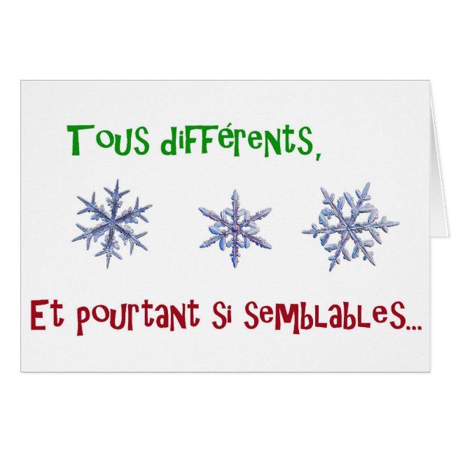 tous différents und pourtant si semblables (Vorderseite (Horizontal))