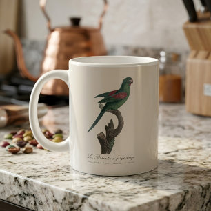 Tovi-Sittich, Brotogeris jugularis Kaffeetasse