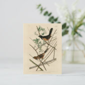 Towee Bunting (Eastern Towee) von Audubons Vögeln Postkarte (Stehend Vorderseite)