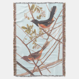 Toweed Bunting Audubon Black and Orange Song Birds Decke