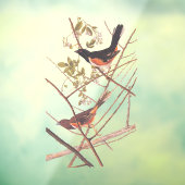 Toweed Bunting Audubon Black and Orange Song Birds Fensteraufkleber (Blatt 3)