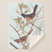 Toweed Bunting Audubon Black and Orange Song Birds Sherpadecke (Vorderseite)