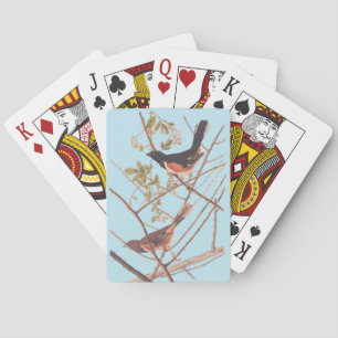 Toweed Bunting Audubon Black and Orange Song Birds Spielkarten