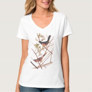 Toweed Bunting Audubon Black and Orange Song Birds T-Shirt