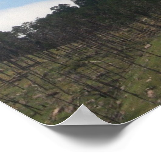 Tower-Devils-Plakat Poster (Ecke)