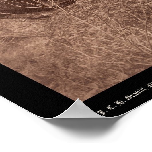 Tower of Devil von West Side WY 1890 Poster (Ecke)