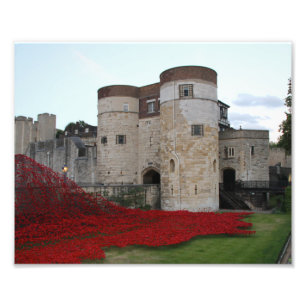 Tower of London mit hellen roten Poppies Fotodruck