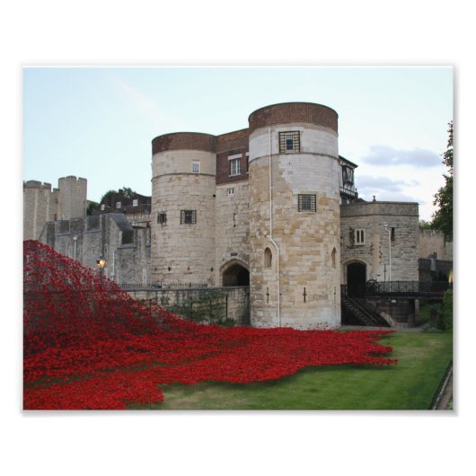 Tower of London mit hellen roten Poppies Fotodruck (Vorne)