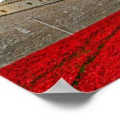 Tower of London Poppies Red Poppy Poster (Ecke)
