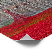Tower Of London Poppies Red Poppy Poster (Ecke)