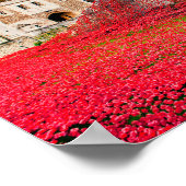 Tower Of London Poppies Red Poppy Poster (Ecke)
