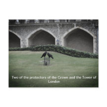 Tower of London Ravens