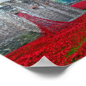 Tower of London Red Poppies England Poster (Ecke)