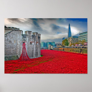 Tower of London Red Poppies England Poster