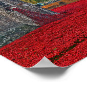 Tower of London Red Poppies England Poster (Ecke)
