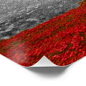 Tower of London Red Poppies Poppy Poster (Ecke)