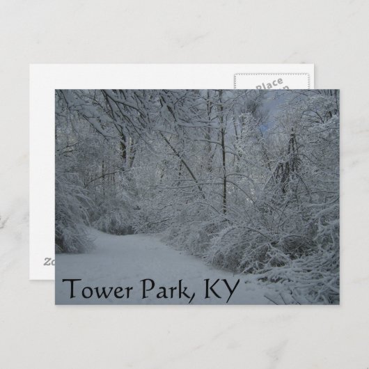 Tower Park, KY Postkarte (Vorne/Hinten)