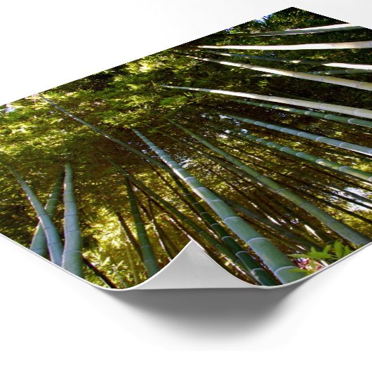 Towering Bamboos Poster (Ecke)
