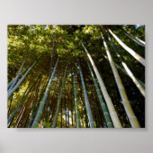 Towering Bamboos Poster (Vorne)