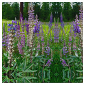 Towering Lupines Stoff (Nahaufnahme)