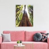 Towering Redwoods Leinwanddruck (Insitu (Wohnzimmer))