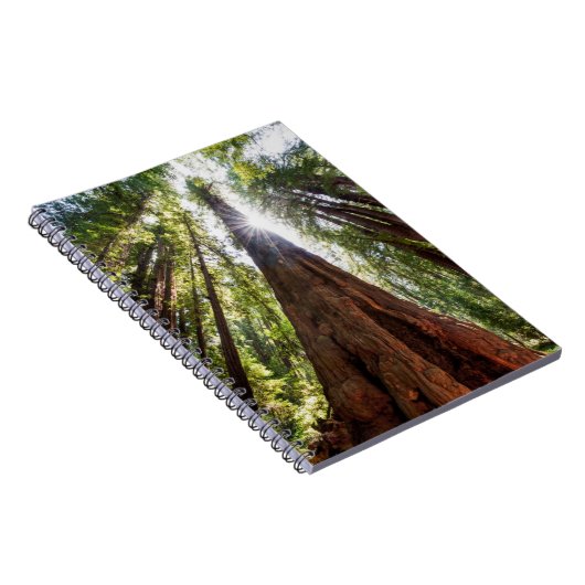Towering Redwoods Notizblock (Rechte Seite)