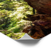 Towering Redwoods Poster (Ecke)