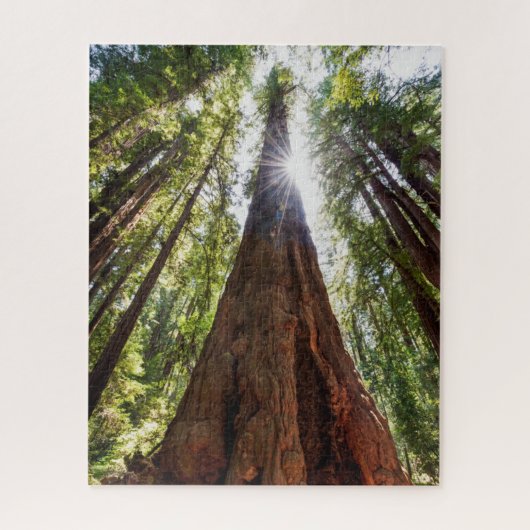 Towering Redwoods Puzzle (Vertikal)