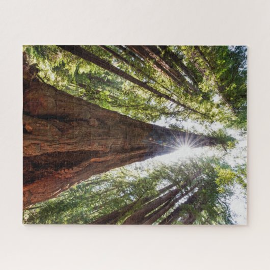 Towering Redwoods Puzzle (Horizontal)