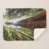 Towering Redwoods Sherpadecke (Vorderseite (Horizontal))