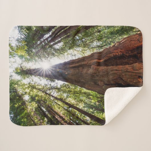 Towering Redwoods Sherpadecke (Vorderseite (Horizontal))