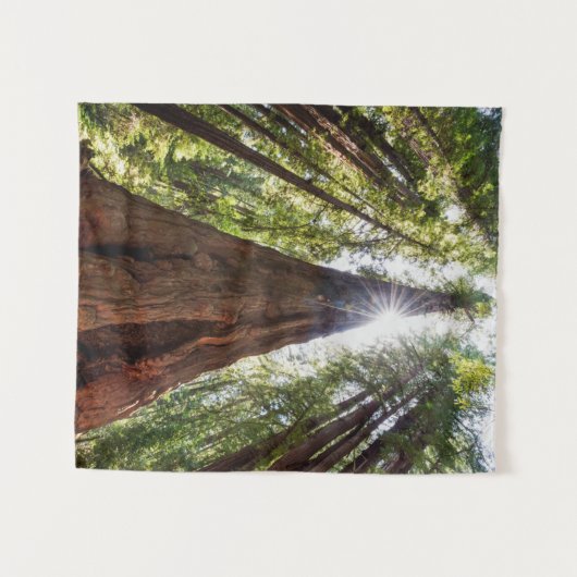 Towering Redwoods Wandteppich (Vorderseite (Horizontal))