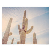Towering Saguaro Cacti | FOTO (Vorne)