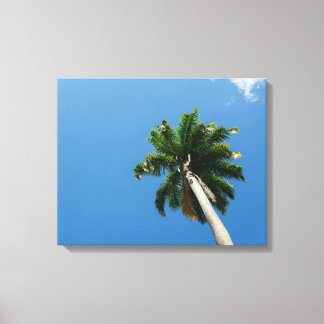 Towering Tropical Palm Tree Against a Bright Sky Leinwanddruck