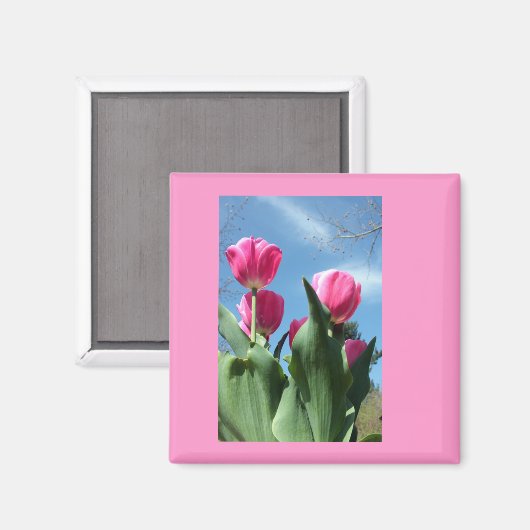 Towering Tulips Magnet (Vorderseite/Rückseite)