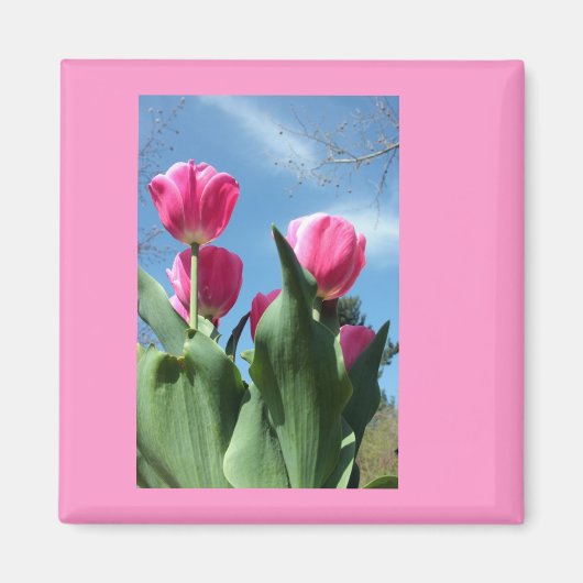Towering Tulips Magnet (Vorne)