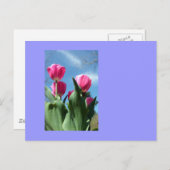 Towering Tulips Postkarte (Vorne/Hinten)