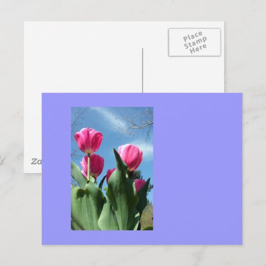 Towering Tulips Postkarte (Vorne/Hinten)