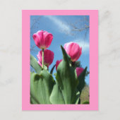 Towering Tulips Postkarte (Vorderseite)