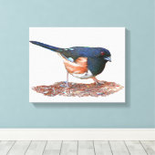 Towhee Leinwanddruck (Insitu (Holzboden))