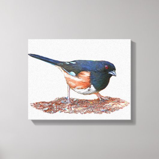 Towhee Leinwanddruck (Vorderseite)