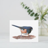 Towhee Postkarte (Stehend Vorderseite)