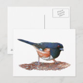 Towhee Postkarte (Vorne/Hinten)
