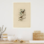 Towhie Bunting Poster (Küche)