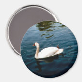 Town Bird Magnet (Vorderseite/Rückseite)