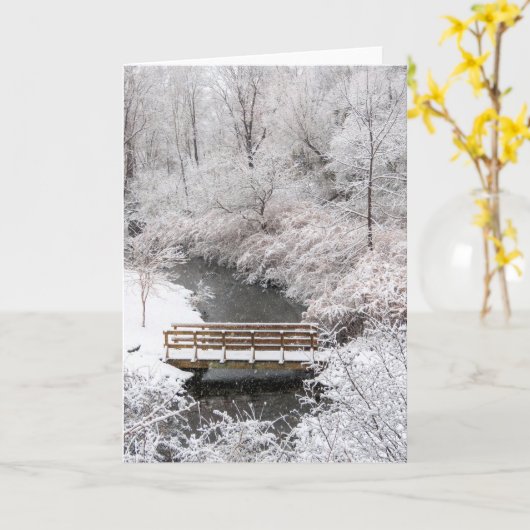 Town Brook im Januar Karte (Gelbe Blume)